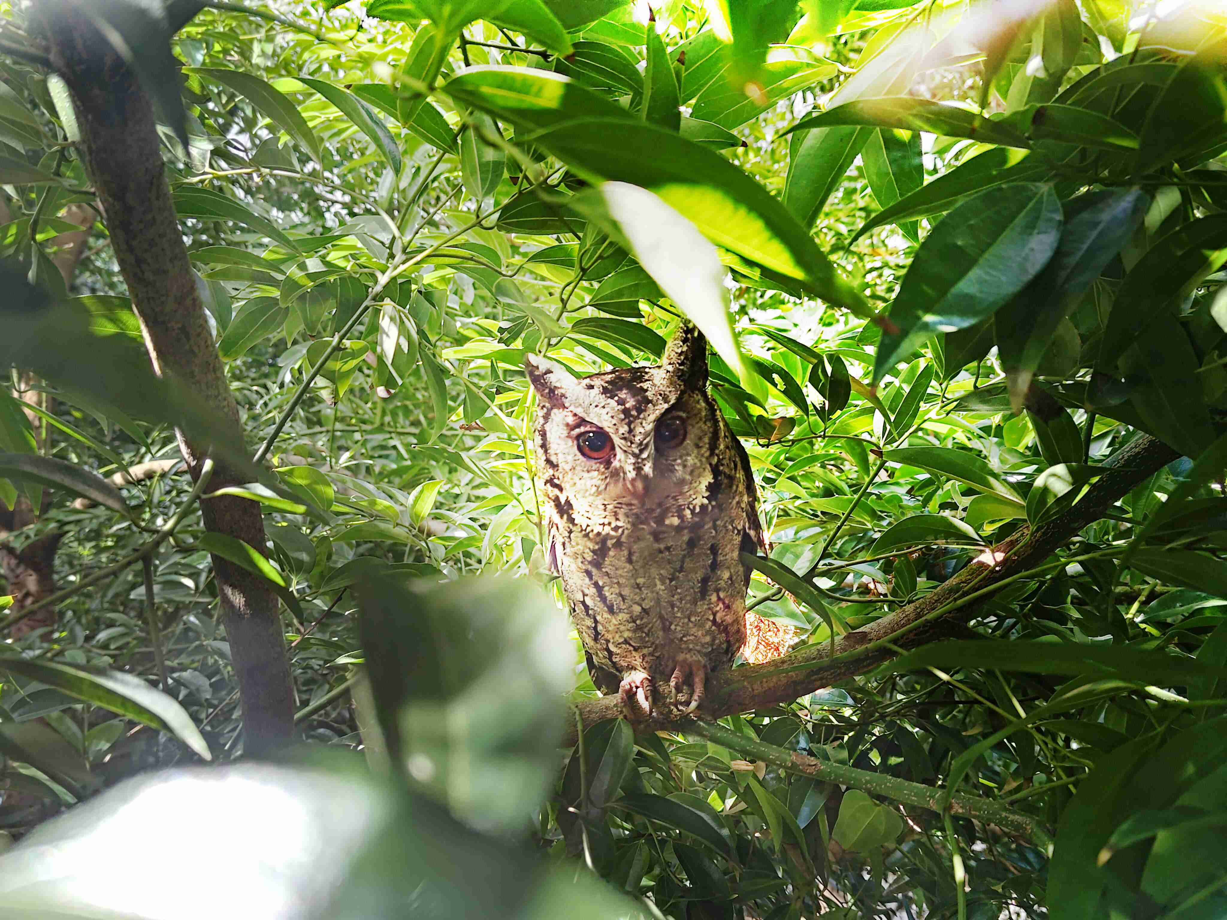 28国际致力提倡净零绿生活，，16年以来在全球各厂区植树逾百万棵，，，造就各厂区树木蔚然成林，，犹如森林工厂，，，，成为许多生物的栖息地